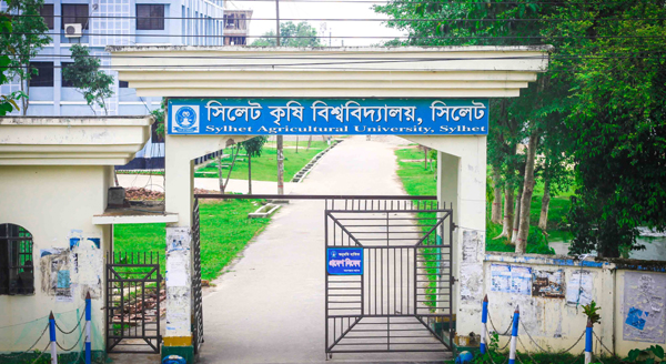 সিলেট কৃষি বিশ্ববিদ্যালয়ে রাজনৈতিক কর্মকাণ্ড নিষিদ্ধ ঘোষণা