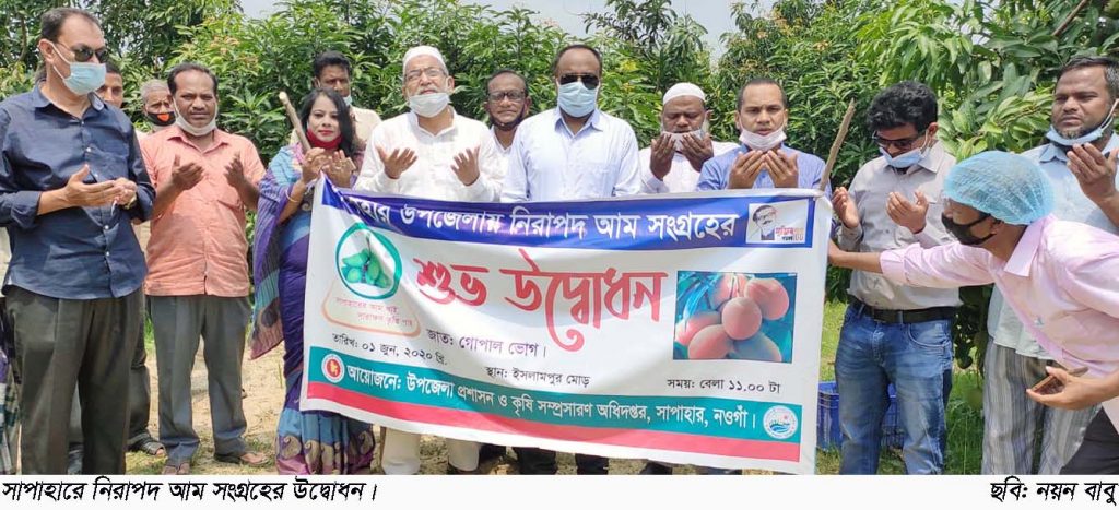 সাপাহারে চলতি বছরের আম আহরণের শুভ উদ্বোধন
