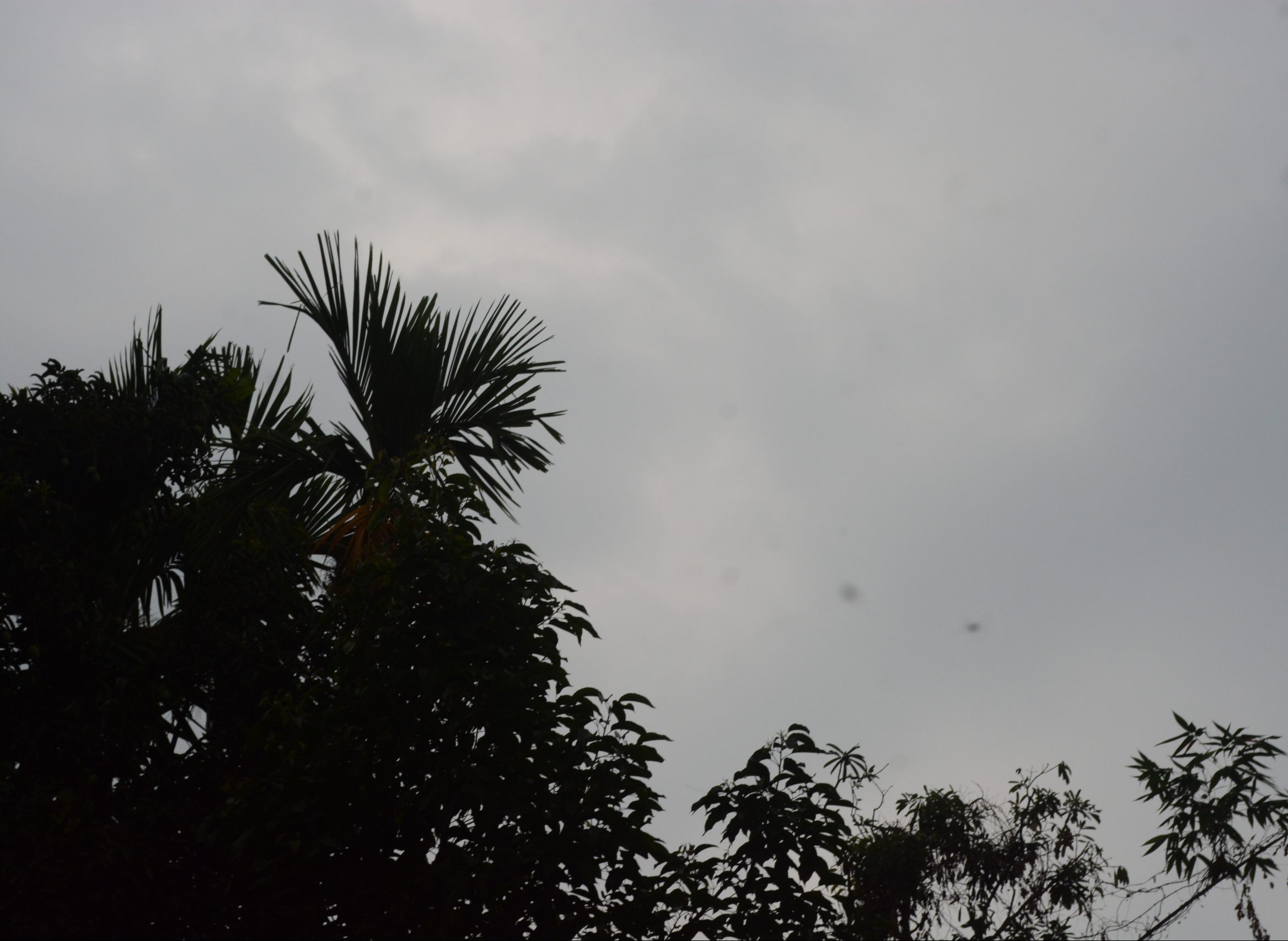 maglaakash