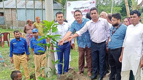 হাতীবান্ধায় ইউনাইটেড কমার্শিয়াল ব্যাংকের বৃক্ষরোপণ